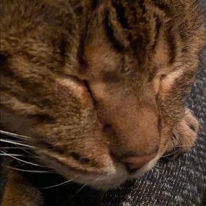 Meet your Posher, Diana